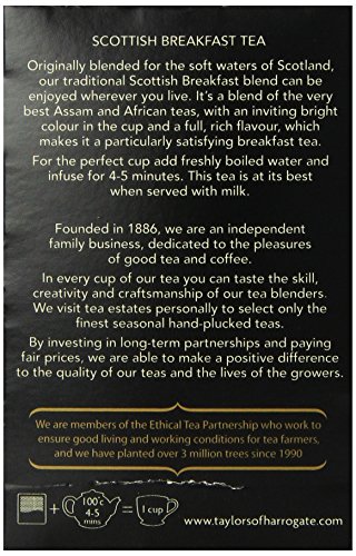Taylors of Harrogate Scottish Breakfast Tea, 50 Count Tea Bags
