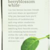 Tazo Berryblossom White Tea, 20-Count Tea Bags (Pack of 6)
