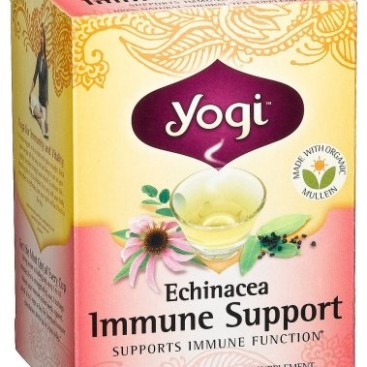Yogi Echinacea Immune Support Tea, 16 Tea Bags (Pack of 6)