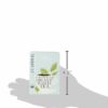 Clipper Fair Trade Organic White Tea, 20-Count (Pack of 6)