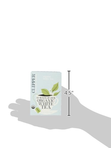 Clipper Fair Trade Organic White Tea, 20-Count (Pack of 6)