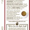 Traditional Medicinals Organic Echinacea Plus Tea, 16 Tea Bags (Pack of 6)