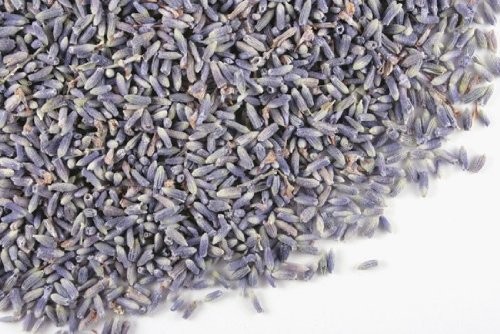 Culinary French Lavender – FREE SHIPPING, more sizes available