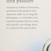 Tazo Iced Tea Passion 6 Bags (Case of 4)