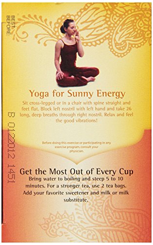 Yogi Chai Rooibos Tea, 16 Tea Bags (Pack of 6)