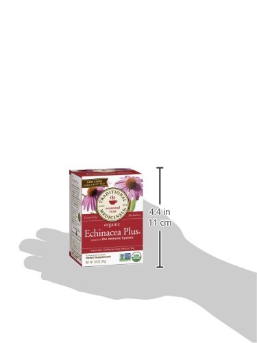 Traditional Medicinals Organic Echinacea Plus Tea, 16 Tea Bags (Pack of 6)