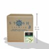 Stash Tea Organic Green Tea Bags in Foil, Premium, 100 Count