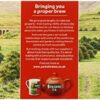 Taylors of Harrogate Yorkshire Tea Bags, 240-Count