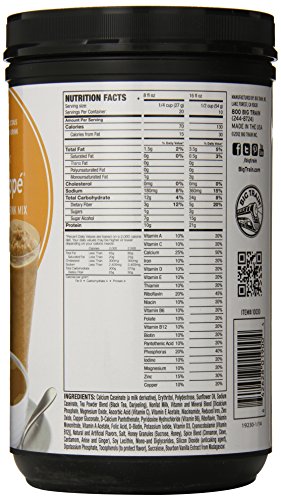 Fit Frappe Protein Drink Mix, Chai, 19.1 Ounce