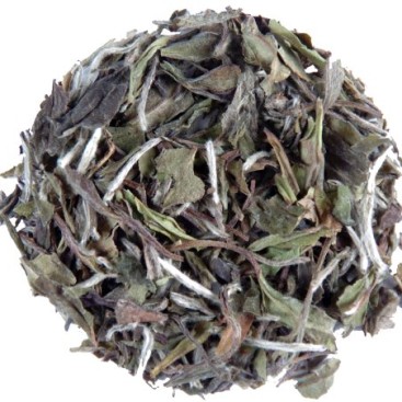 Elmwood Inn Fine Teas, Bai Mudan Organic White Tea, 8-Ounce Pouch