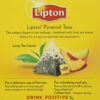 Lipton Tea White Tea Pyramid Mango & Peach, 18-count (Pack of3)