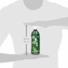 Ito En Tea Beverage, Unsweetened Oi Ocha Dark Green, 16.9 Ounce (Pack of 12)