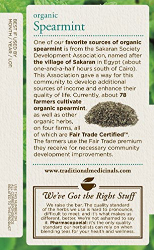 Traditional Medicinals Organic Spearmint Tea, 16 Tea Bags (Pack of 6)