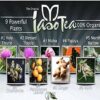 Iaso Tea 1 Month Supply