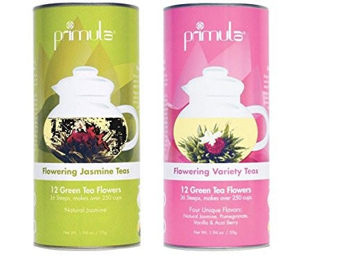 Primula Gift Set of 12 Assorted Green Tea With Fresh Jasmine Flowers