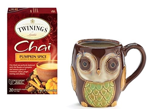 Twinings Pumpkin Spice Chai Tea with Chocolate Porcelain Owl Mug – Gift Boxed Bundle -Drink the Fall Season in Style