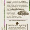 Traditional Medicinals Organic Burdock with Nettle Leaf Tea, 16 Tea Bags