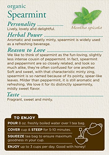 Traditional Medicinals Organic Spearmint Tea, 16 Tea Bags (Pack of 6)
