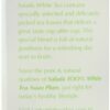 Salada Pure White Plum Tea, 20-Count (Pack of 6)