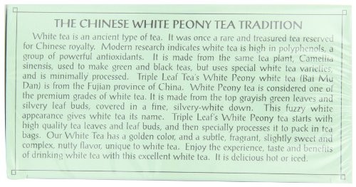 Triple Leaf Tea, Tea Bags, White Peony Tea, 1.34 Oz  Bags, 20-Count Boxes (Pack of 6)