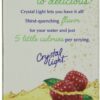 Crystal Light On The Go Green Tea Raspberry, 10 Count Boxes (Pack of 12)