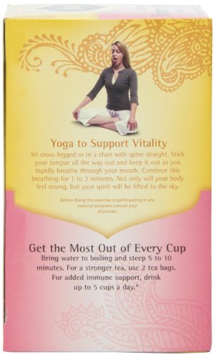 Yogi Echinacea Immune Support Tea, 16 Tea Bags (Pack of 6)