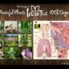 Iaso Tea 1 Month Supply