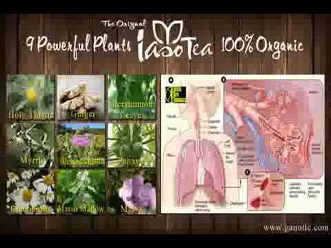 Iaso Tea 1 Month Supply