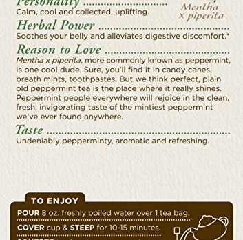 Traditional Medicinals Organic Peppermint Tea, 16 Tea Bags (Pack of 6)