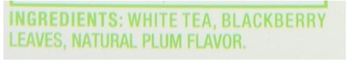 Salada Pure White Plum Tea, 20-Count (Pack of 6)