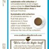 Traditional Medicinals EveryDay Detox Tea, 16 Tea Bags (Pack of 6)