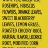 Lipton Tea White Tea Pyramid Mango & Peach, 18-count (Pack of3)