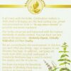 Celebration Herbals Papaya Leaf, Caffeine Free, 1.33 oz/38g, 24 Tea Bags