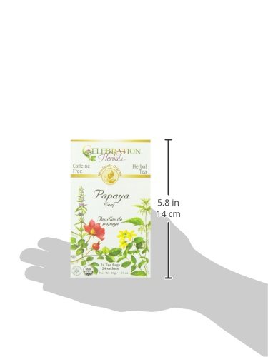 Celebration Herbals Papaya Leaf, Caffeine Free, 1.33 oz/38g, 24 Tea Bags