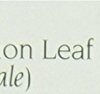 Celebration Herbals Dandelion Leaf Tea Organic Loose Pack